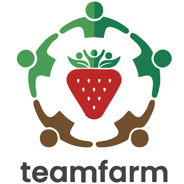 チームファームロゴ